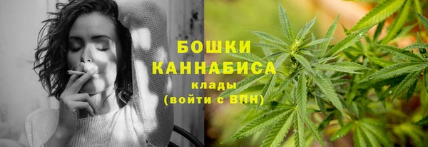 прущие грибы Каменск-Шахтинский