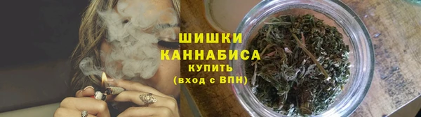 прущие грибы Каменск-Шахтинский