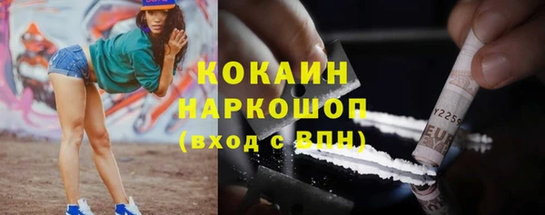 дурь Каменка