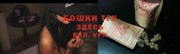дурь Каменка