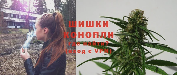 дурь Каменка