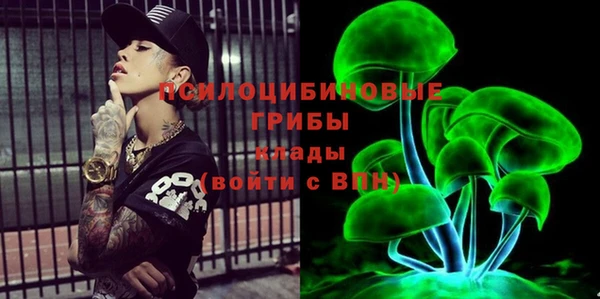 дурь Каменка