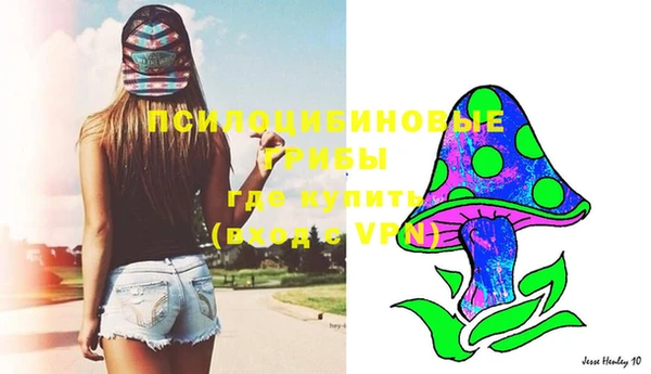 марки lsd Каменногорск