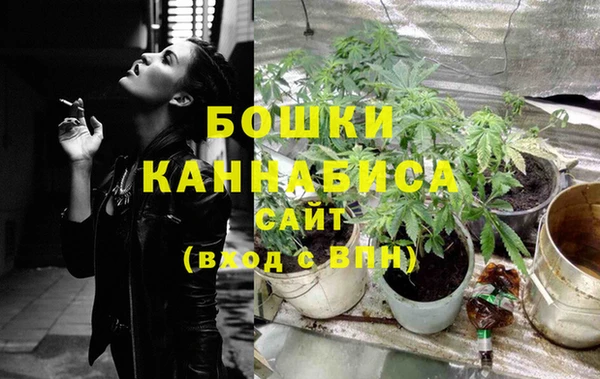 прущие грибы Каменск-Шахтинский