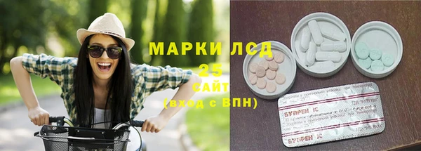 прущие грибы Каменск-Шахтинский