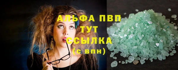 прущие грибы Каменск-Шахтинский